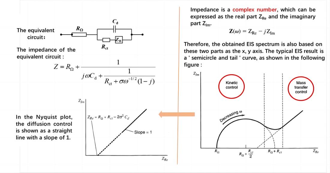 Nyquist plot-the diffusion-controlled process