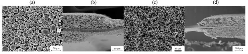 SEM images observed from different perspectives