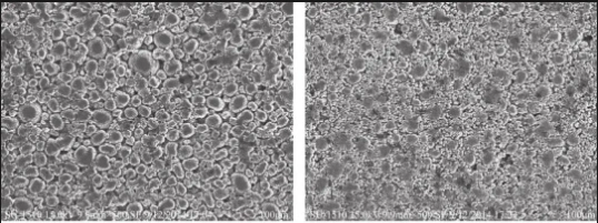 SEM images of cathode electrodes with different particle size distributions