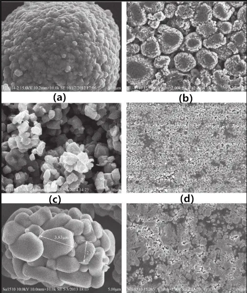 SEM images of ternary materials with different morphologies and their electrodes